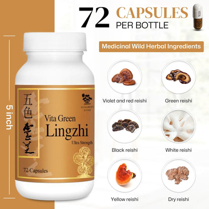Vita Green Lingzhi Mushroom Capsules – Pure Reishi with Natural Antioxidants for Wellness, Energy & Immune Support – 72 Capsules