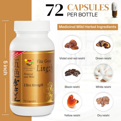 Vita Green Lingzhi Mushroom Capsules – Pure Reishi with Natural Antioxidants for Wellness, Energy & Immune Support – 72 Capsules