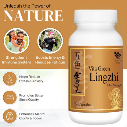 Vita Green Lingzhi Mushroom Capsules – Pure Reishi with Natural Antioxidants for Wellness, Energy & Immune Support – 72 Capsules