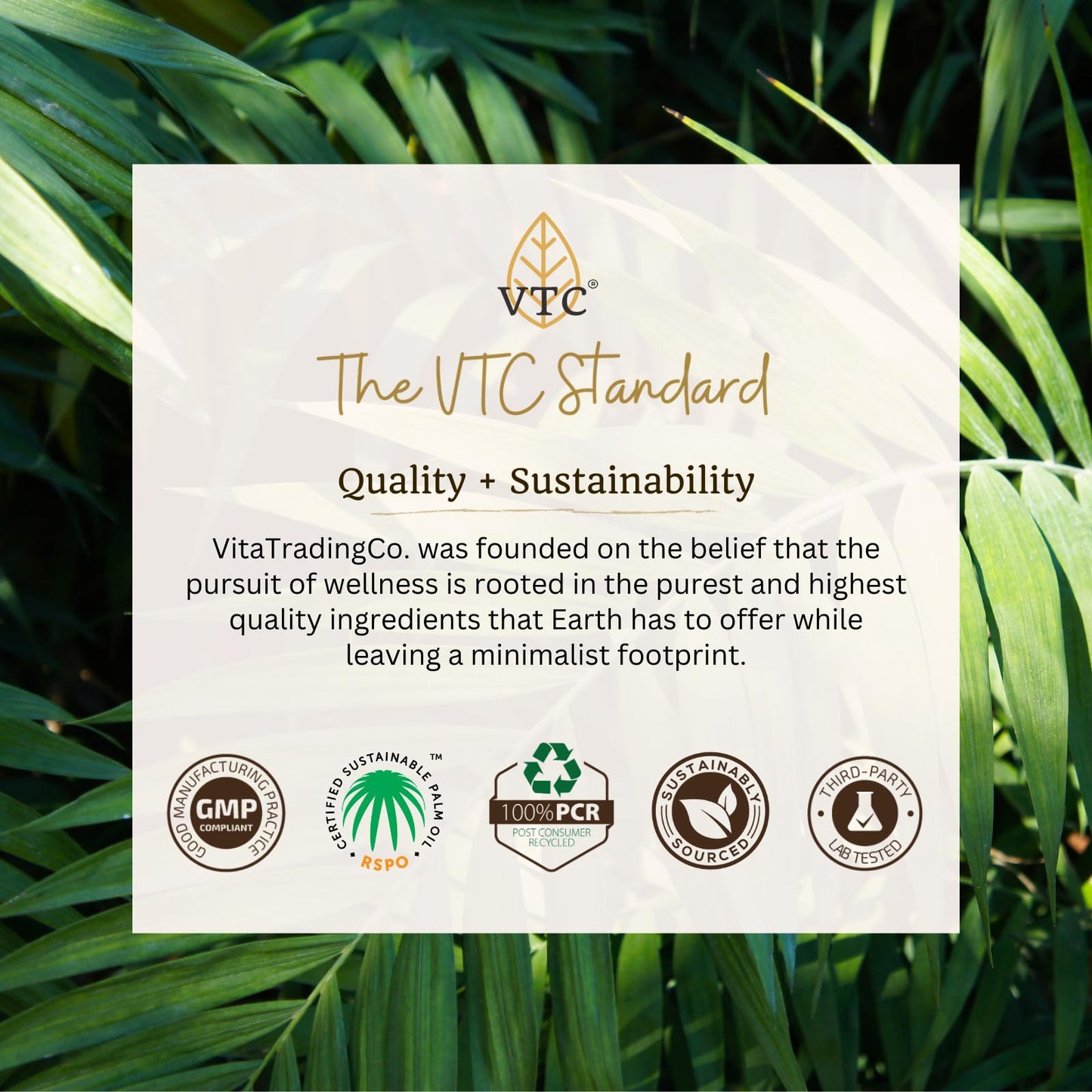 VTC VitaTradingCo. 100% Pure C8 MCT Oil | 128oz, 3X Distilled, Keto & Paleo