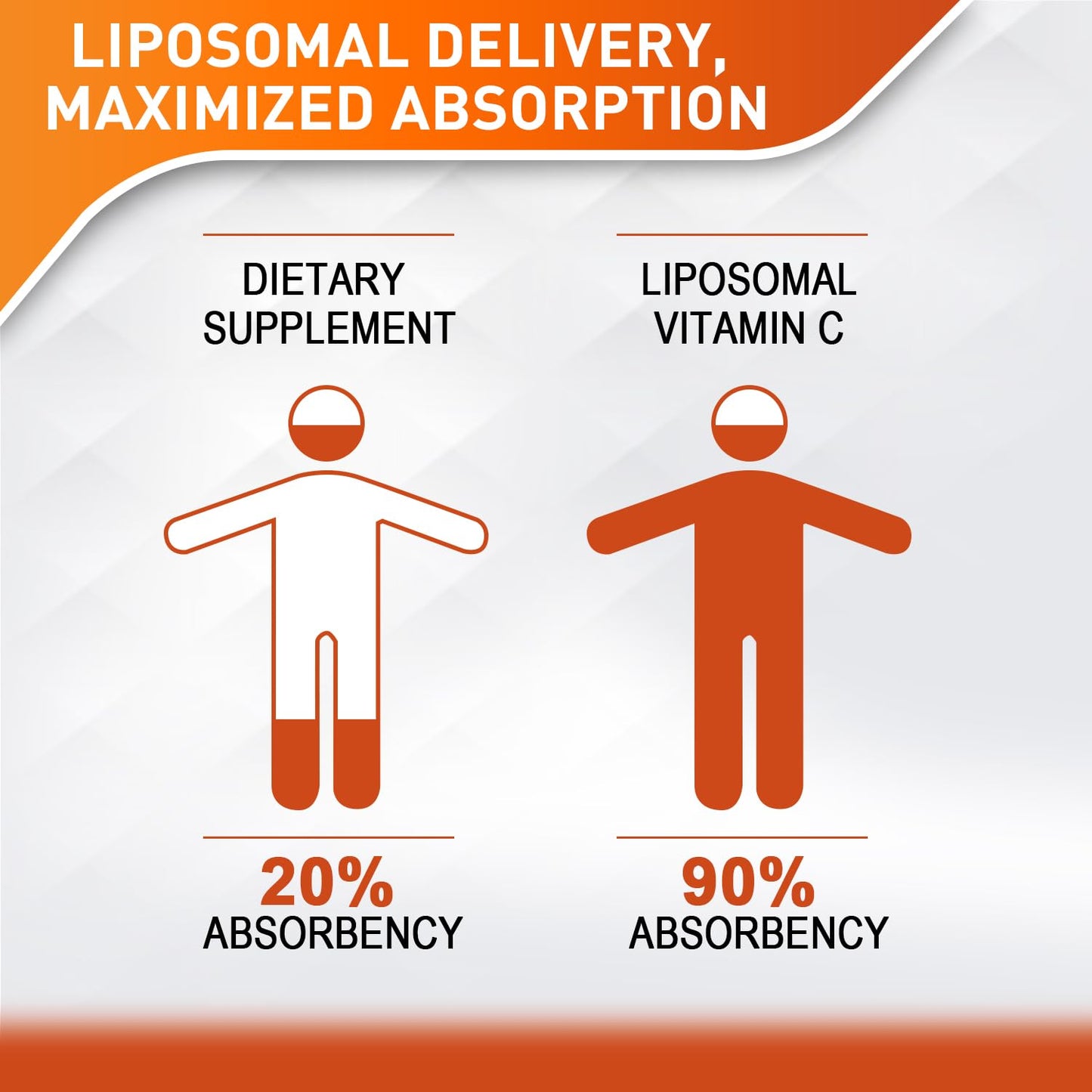 Vitablosom Liposomal Vitamin C 2000mg Liquid - High Absorption Immune Support - 60ML (2 Bottles)