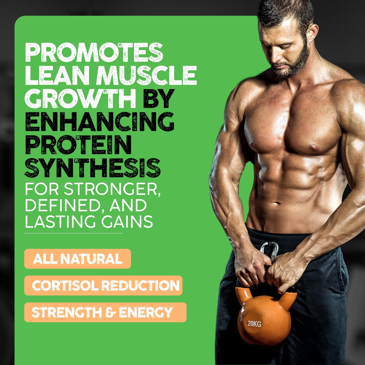 Vital Alchemy The Muscle Sculptor – Muscle Builder with B3, B6, Epicatechin & Cayenne | Made in USA