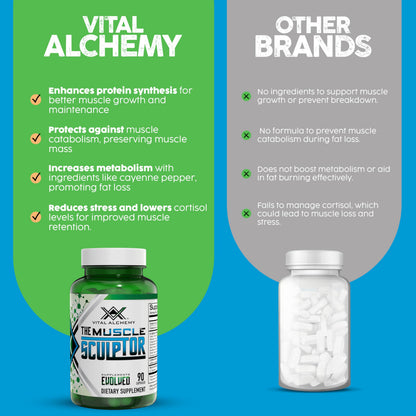 Vital Alchemy The Muscle Sculptor – Muscle Builder with B3, B6, Epicatechin & Cayenne | Made in USA