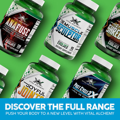 Vital Alchemy The Muscle Sculptor – Muscle Builder with B3, B6, Epicatechin & Cayenne | Made in USA