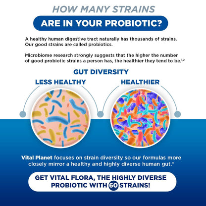 Vital Flora 60B CFU Probiotic for Adults 55+ | Vital Planet Shelf-Stable