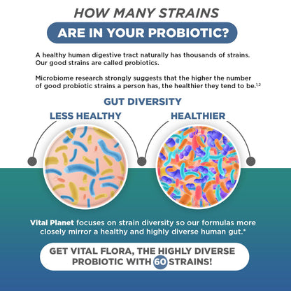 Vital Flora Men 55+ Daily Probiotic - 60B CFU, 60 Strains | Vital Planet