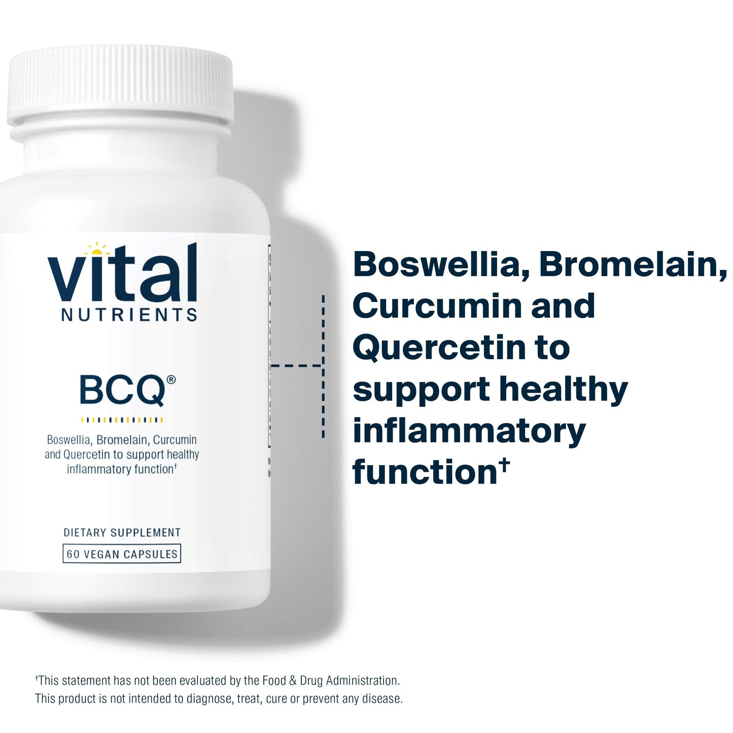 Vital Nutrients BCQ Vegan Joint Support – Boswellia, Bromelain, Curcumin & Quercetin | 60 Capsules