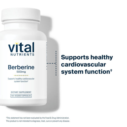 Vital Nutrients Berberine 500 mg Vegan Capsule — Supports Gut Function & Normal Triglyceride Levels | Gluten, Dairy & Soy Free | 60 Capsules