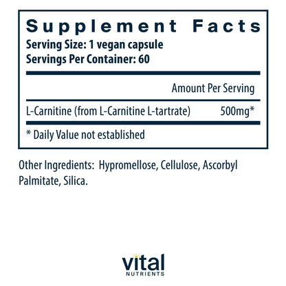 Vital Nutrients Carnitine 500mg – L-Carnitine for Heart Health | Vegan, Gluten & Dairy Free | 60 Capsules