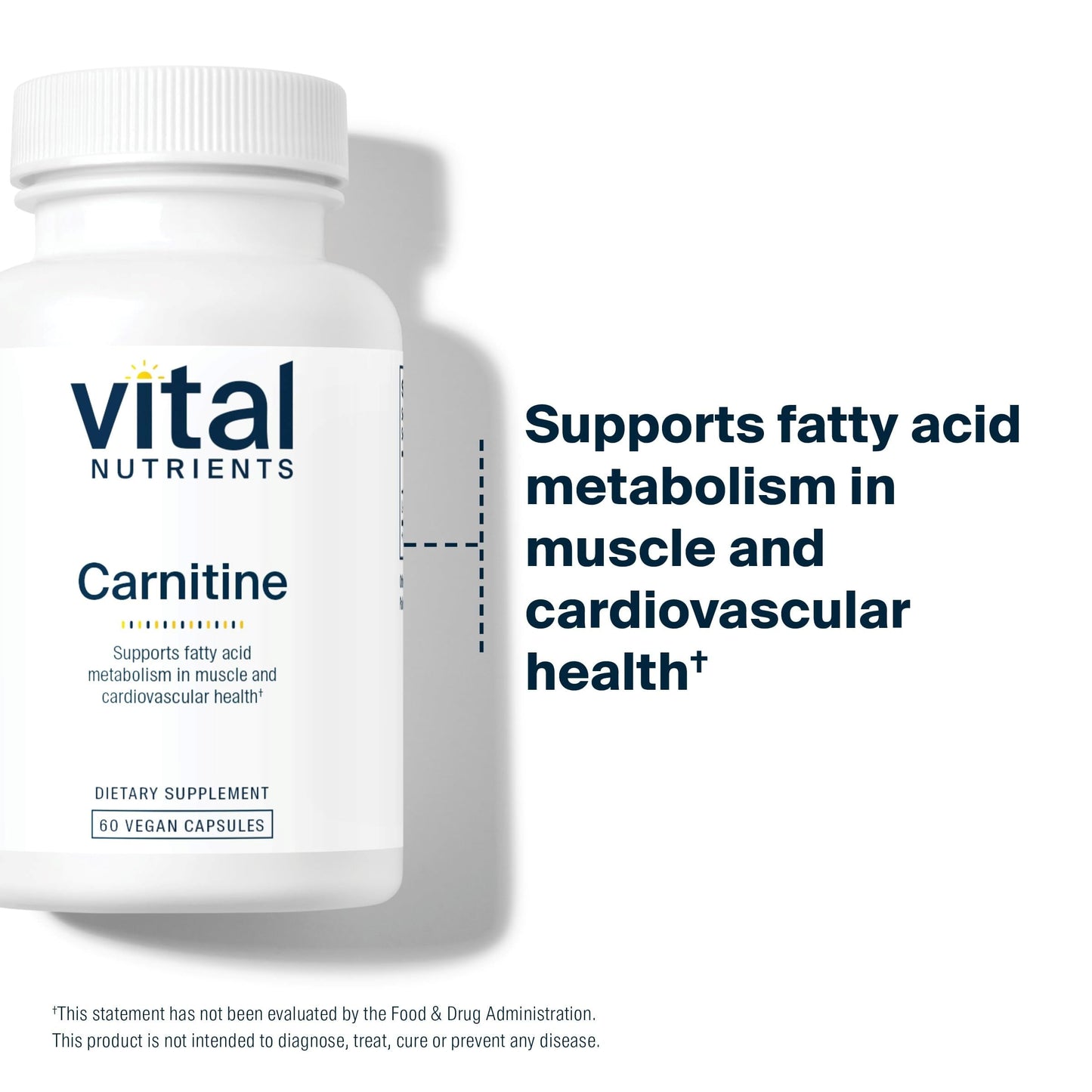 Vital Nutrients Carnitine 500mg – L-Carnitine for Heart Health | Vegan, Gluten & Dairy Free | 60 Capsules