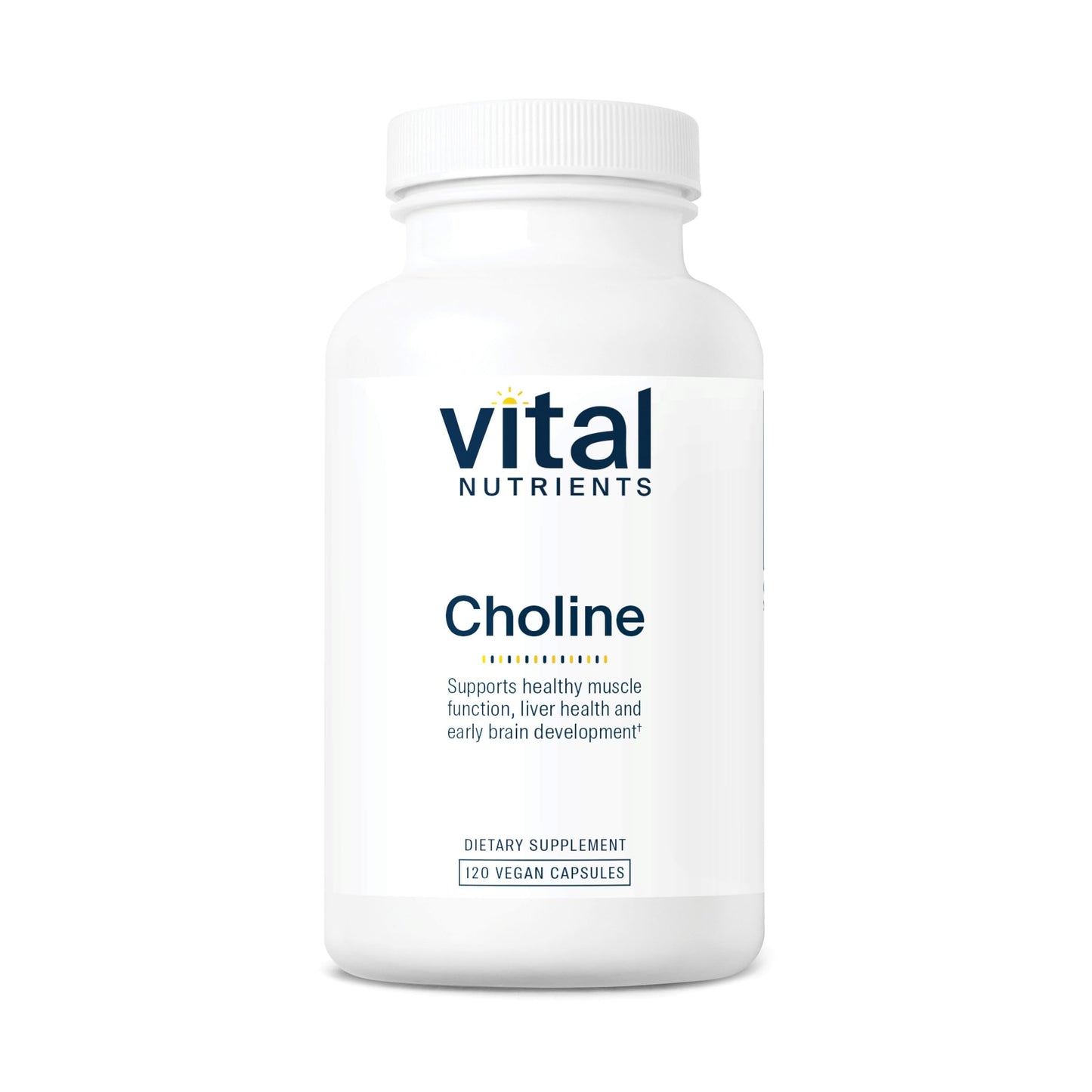 Vital Nutrients Choline 550mg – Vegan, Non-GMO, 100% RDA | 120 Capsules