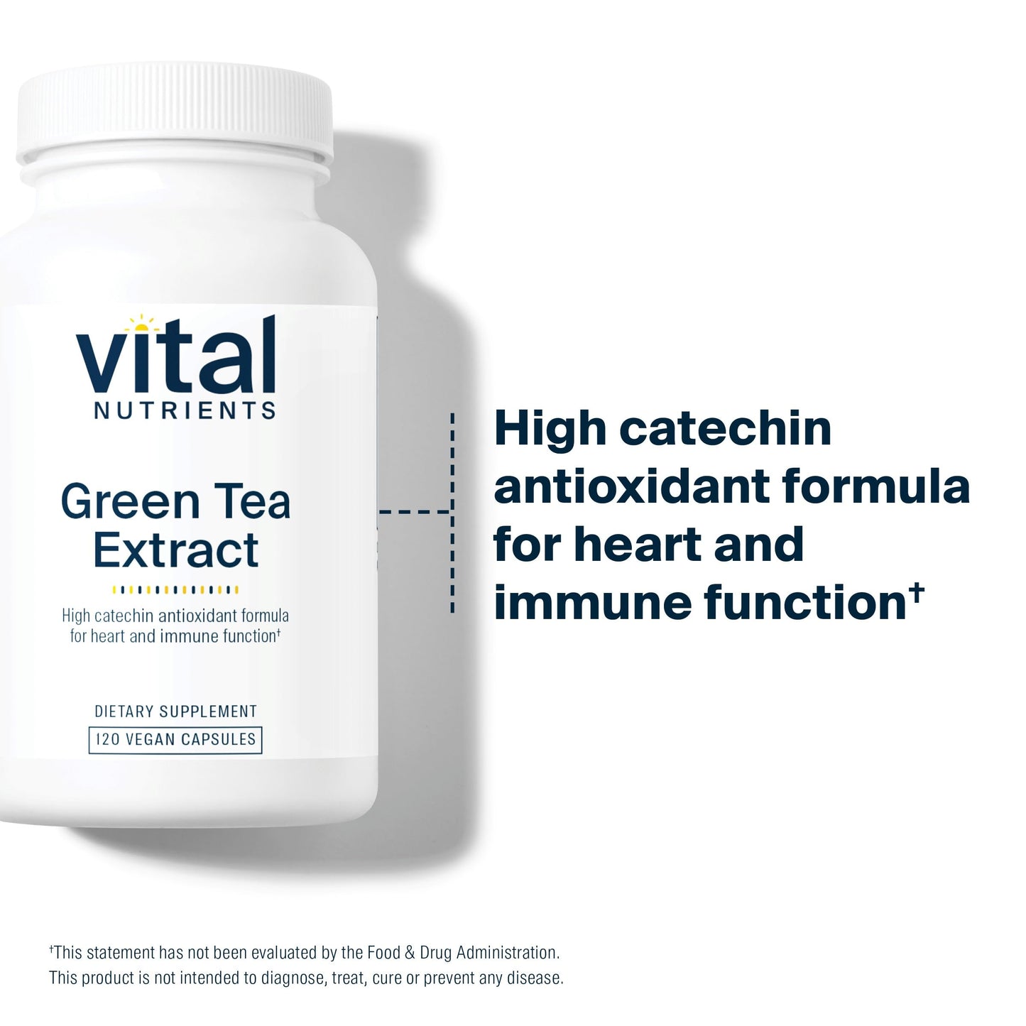 Vital Nutrients Green Tea Extract 550mg – Antioxidant for Heart & Immune Health*