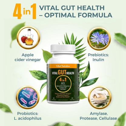 Vital Gut Health 4-in-1 Formula with ACV, Prebiotics & Probiotics | Digestive Enzymes | Vital Nutritive