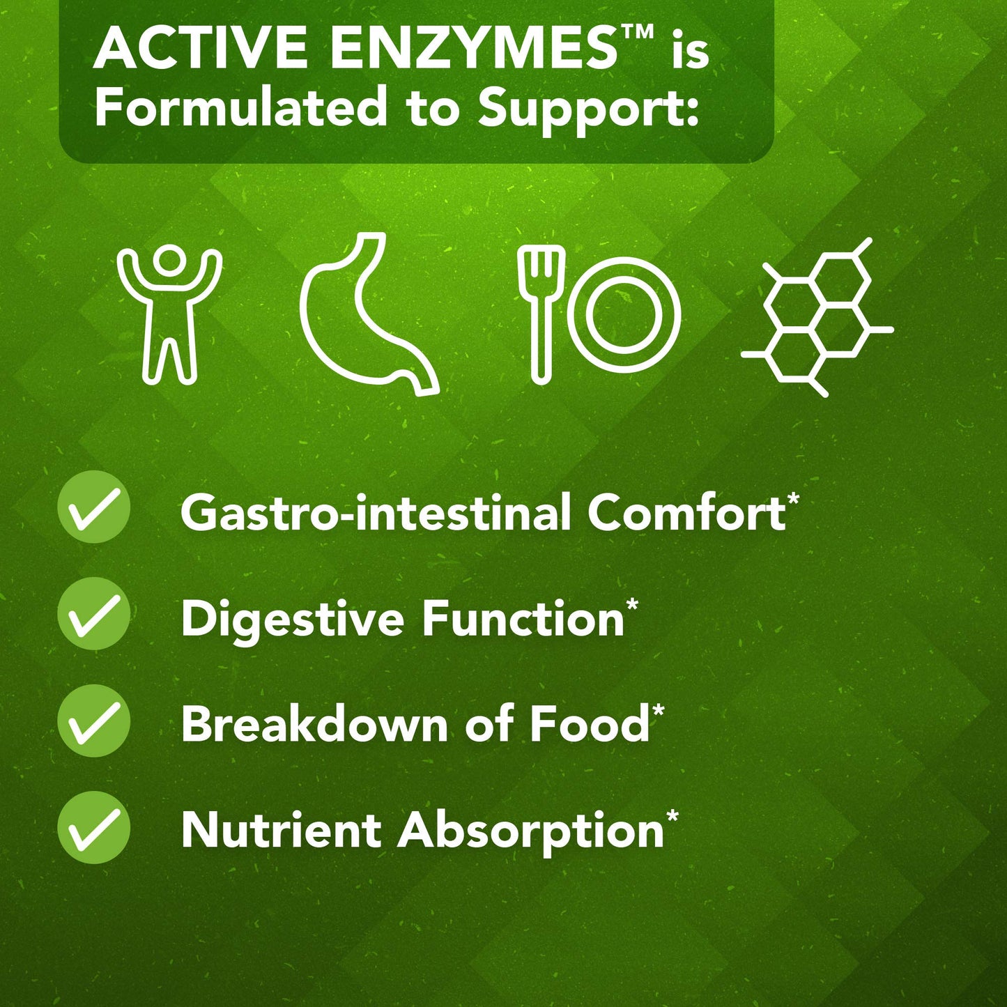Vital Plan Active Enzymes Supplement by Dr. Bill Rawls – Digestive Enzymes for Gut Health (120 Capsules)