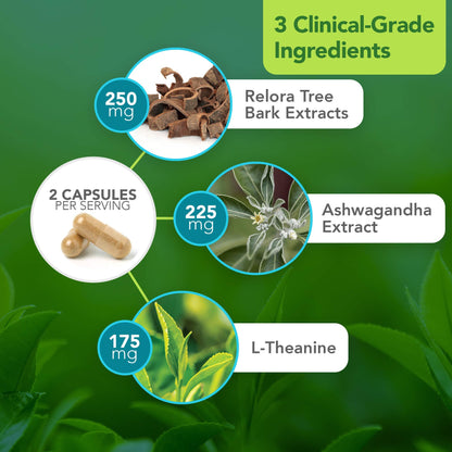 Vital Plan HPA Balance Adrenal Support - Dr. Bill Rawls | Sensoril Ashwagandha