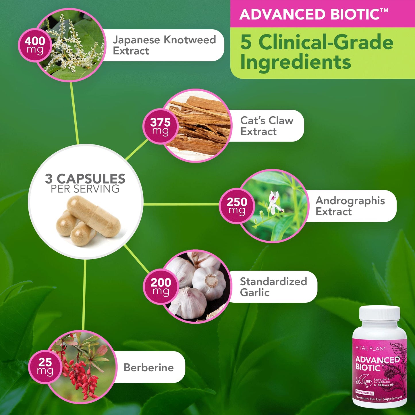 Vital Plan Immune Support Supplements by Dr. Bill Rawls – Immune Boost Bundle w/Japanese Knotweed, Cat’s Claw, Chinese Skullcap & Reishi Mushroom