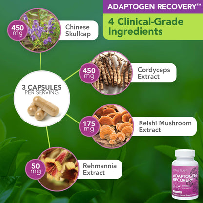 Vital Plan Immune Support Supplements by Dr. Bill Rawls – Immune Boost Bundle w/Japanese Knotweed, Cat’s Claw, Chinese Skullcap & Reishi Mushroom