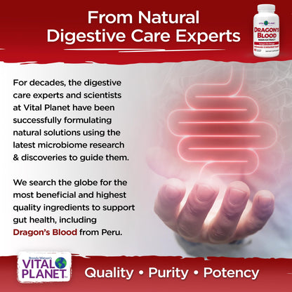 Vital Planet Dragon's Blood Resin Extract Croton lechleri – Digestive Health, 500 mg, 60 Capsules