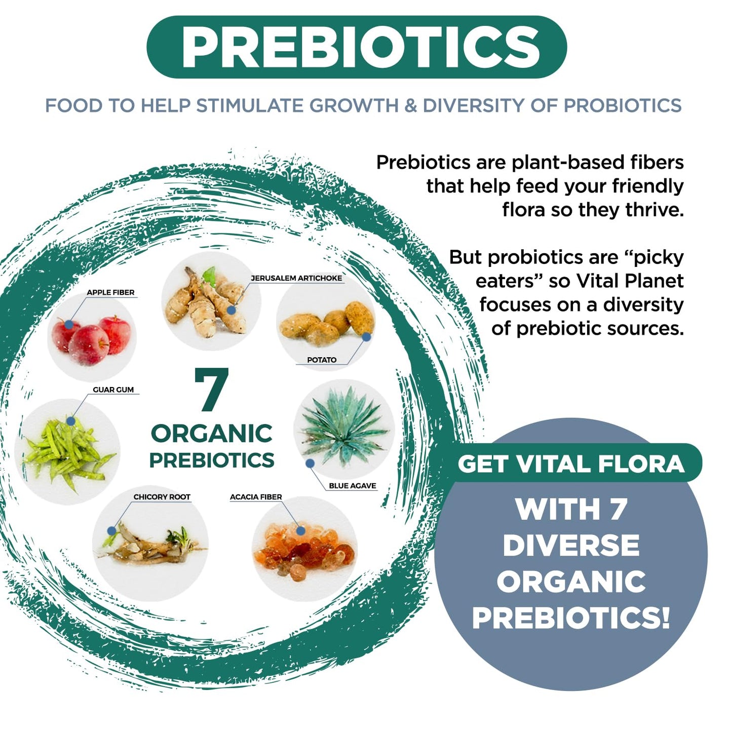 Vital Flora Ultra Daily Probiotic 60B CFU | Vital Planet