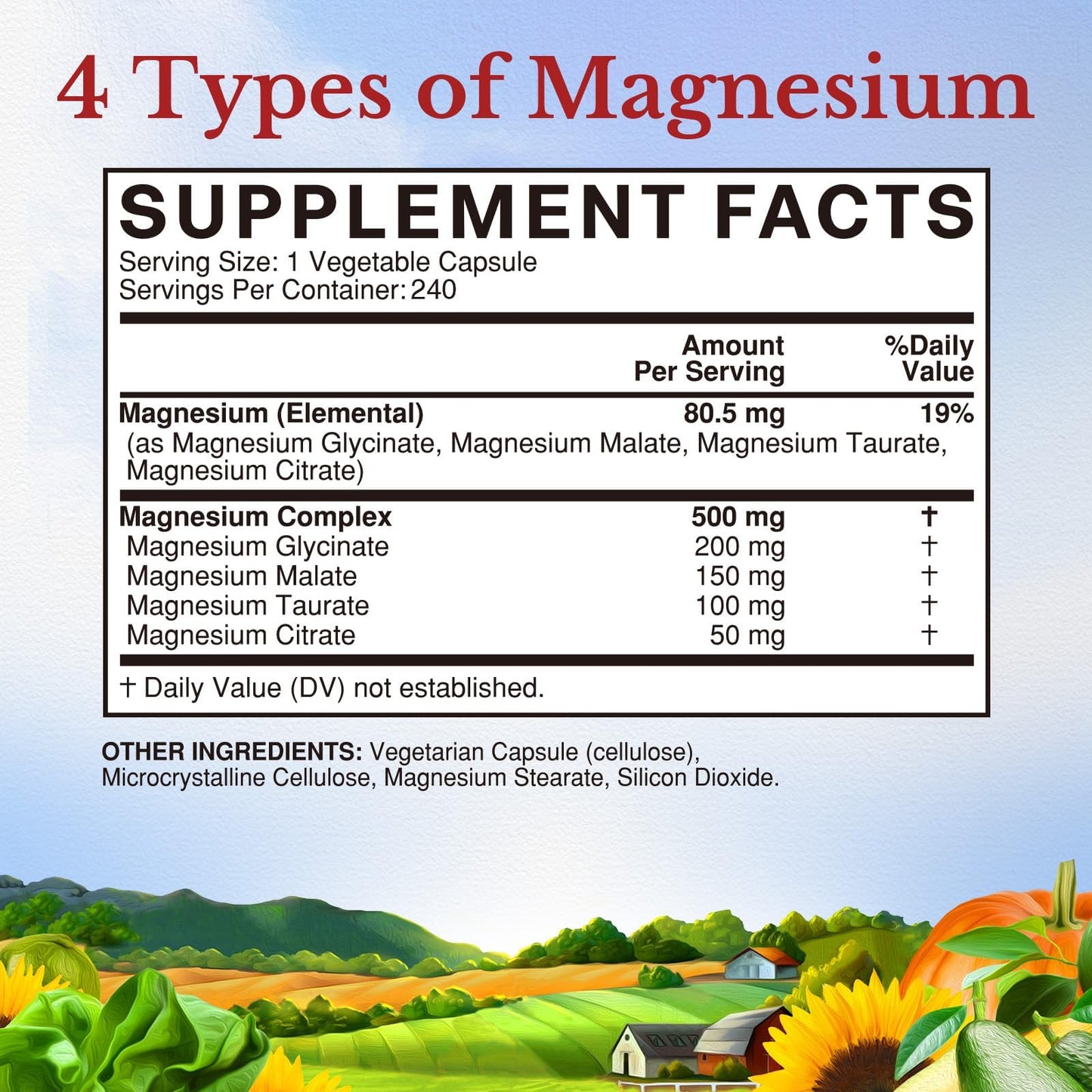 Vitalitown Magnesium Complex 500 mg | Chelated Glycinate, Citrate, Taurate & Malate | 240 Vegan Capsules | NSF Certified