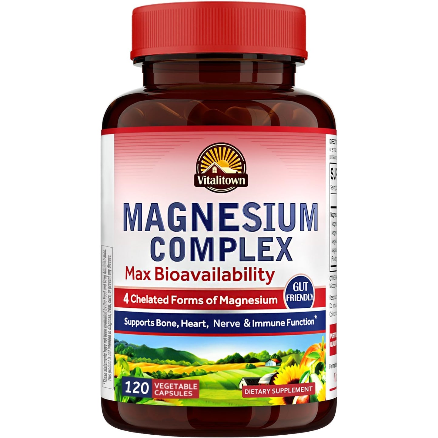 Vitalitown Magnesium Complex 500mg - Four Chelated Forms, NSF Certified