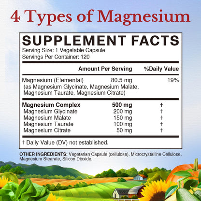 Vitalitown Magnesium Complex 500mg - Four Chelated Forms, NSF Certified