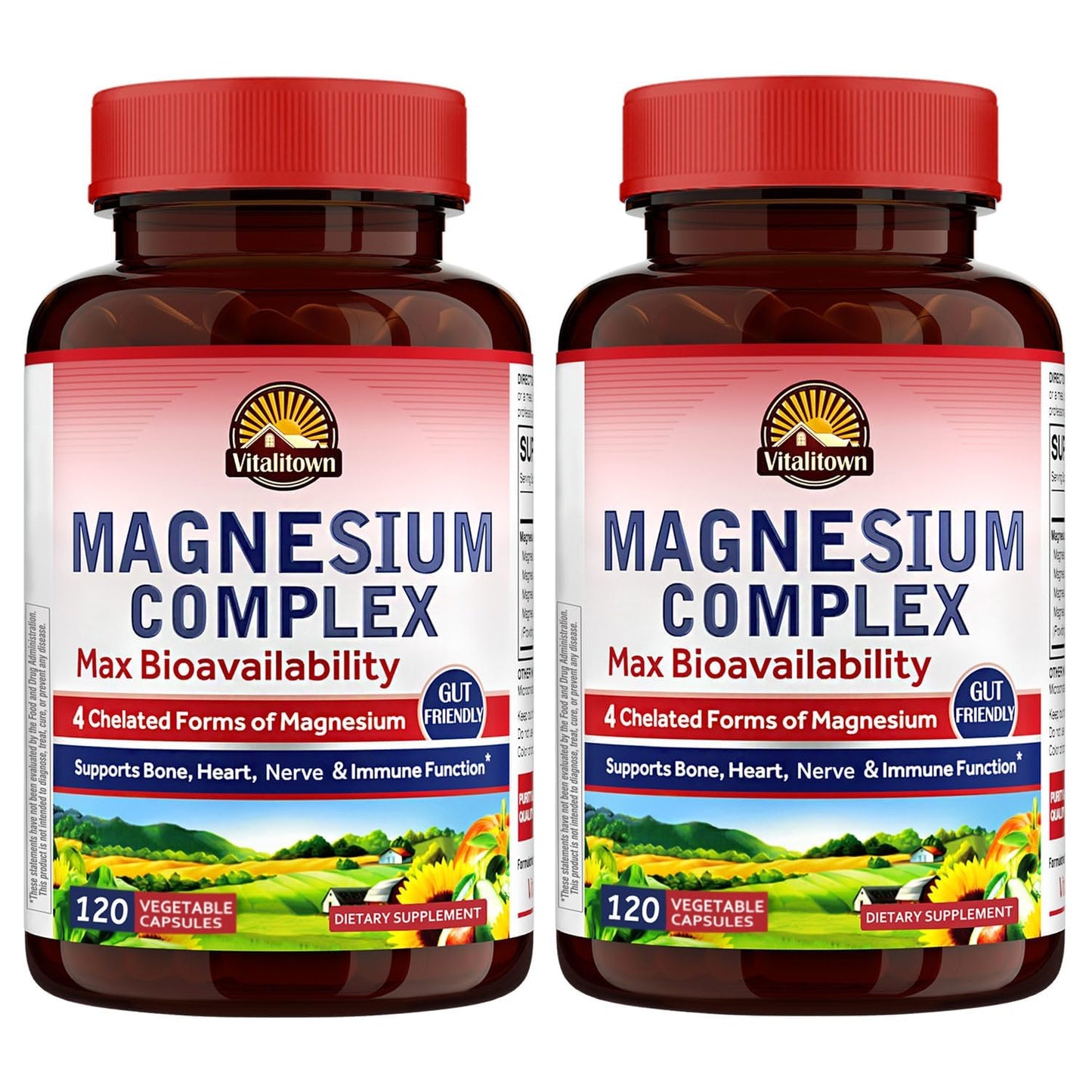 Vitalitown Magnesium Complex 2 Packs - 240 Capsules | NSF Certified Chelated Magnesium Glycinate, Malate, Taurate & Citrate