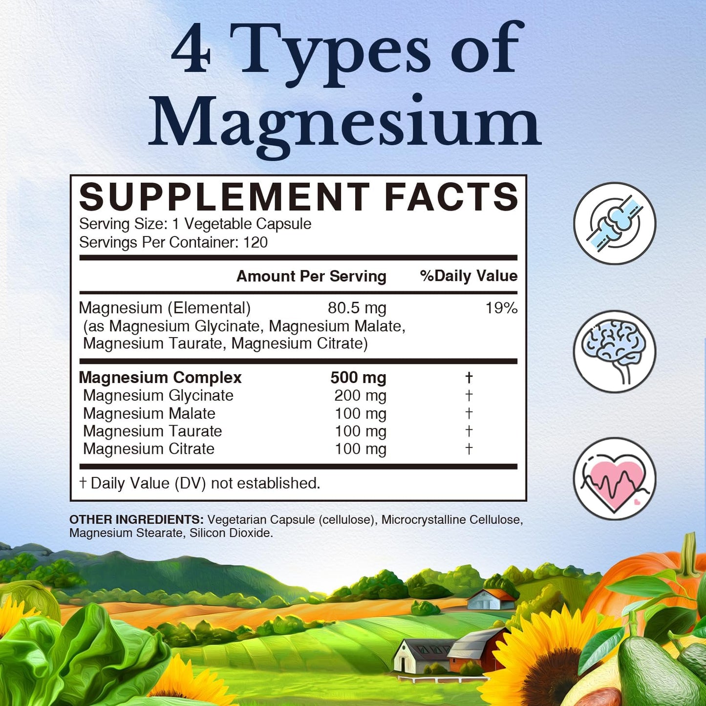 Vitalitown Magnesium Complex 2 Packs - 240 Capsules | NSF Certified Chelated Magnesium Glycinate, Malate, Taurate & Citrate