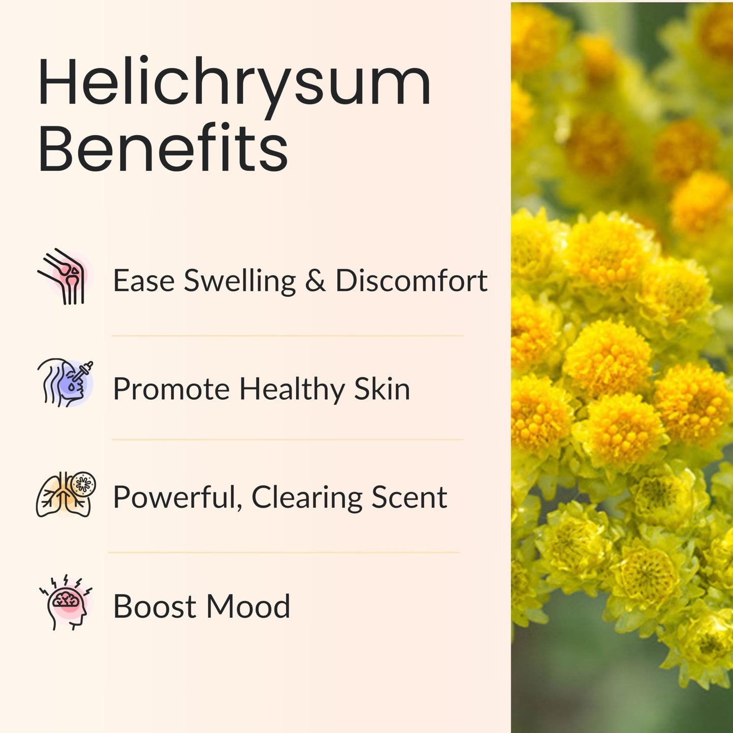 Vitality Extracts Helichrysum Essential Oil 10ml - Skin Care & Aromatherapy