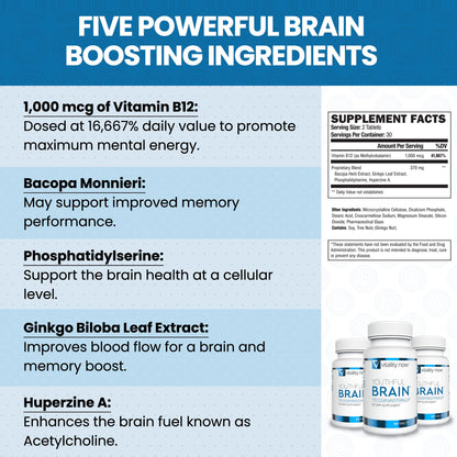 Vitality Now Youthful Brain 2 Bottle Bundle – Memory & Brain Health Support, Bacopa, Ginkgo, B12 (120 ct)