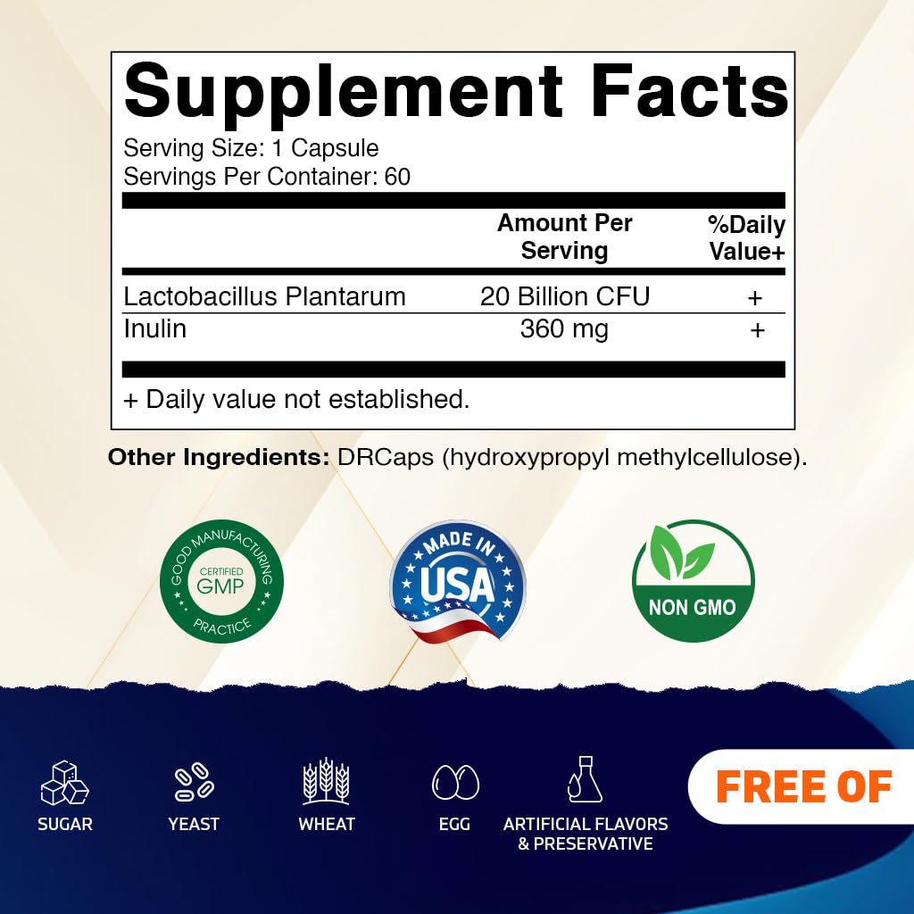 Vitamatic Lactobacillus Plantarum 20B CFU DR Capsule 60 Count Pack of 2