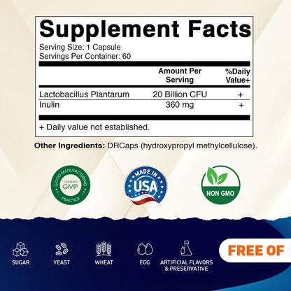 Vitamatic Lactobacillus Plantarum 20B CFU DR Capsule 60 Count Pack of 2