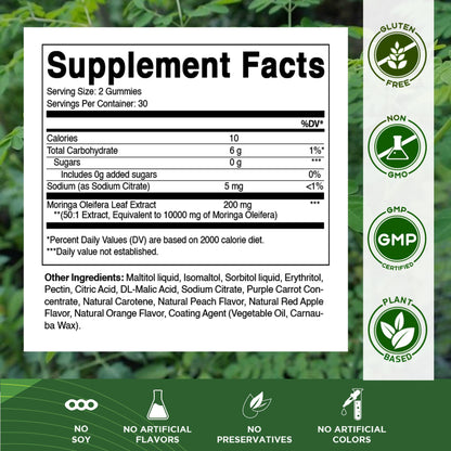 Vitamatic Sugar Free Moringa Gummies – 10,000 mg Equivalent per Serving (50:1 Extract) – 60 Vegan Gummies (Pack of 2)