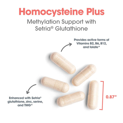 Allergy Research Group Homocysteine Plus Supplement | Setria Glutathione, B Complex, TMG | 90 Count
