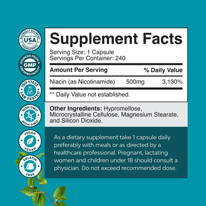 Vitamin B3 Niacinamide 500mg Capsules – Flush Free Niacinamide, Skin & Energy Support, 240 Count