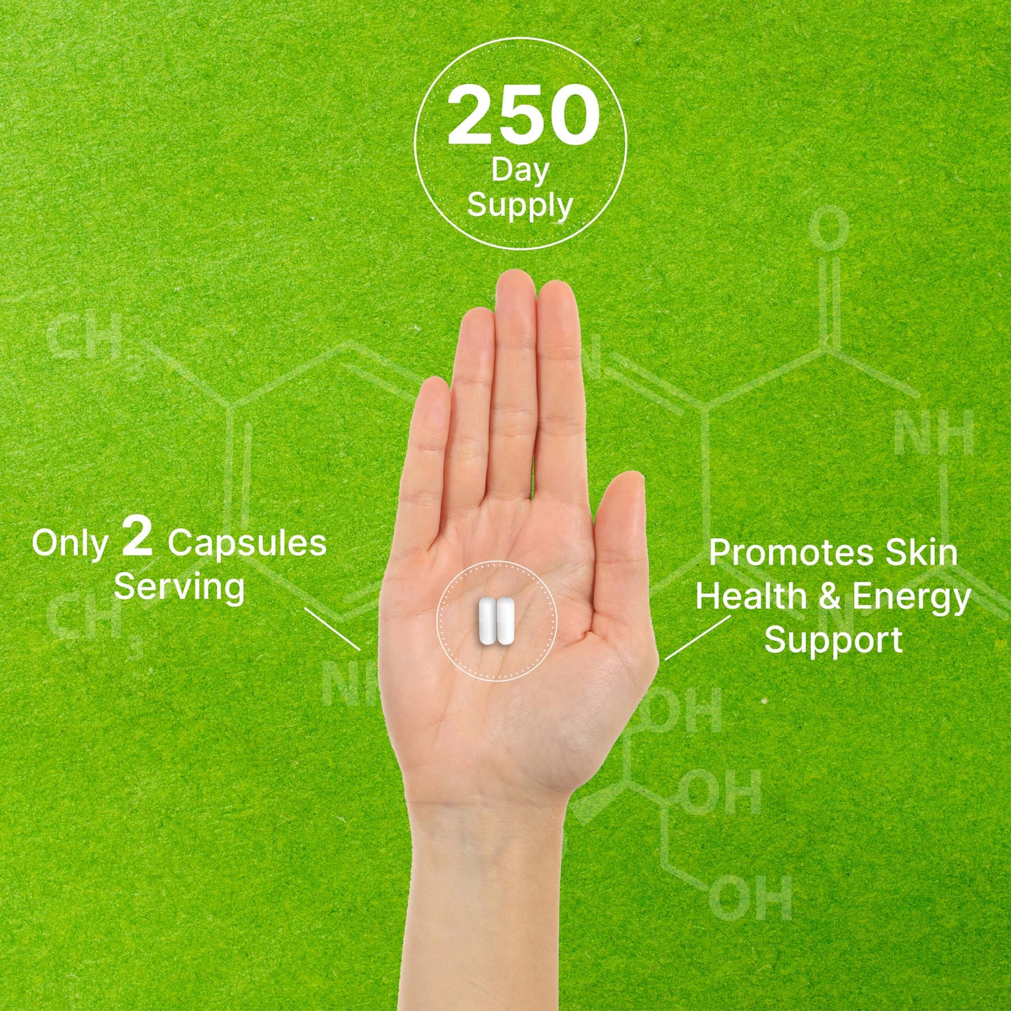 DEAL SUPPLEMENT Vitamin B3 Nicotinamide 1,000mg – 500 Capsules, Flush Free, Non-GMO