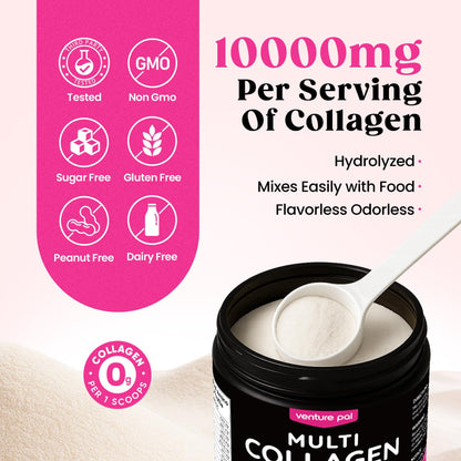 Venture Pal Multi Collagen Powder Type I–X | MSM, Hyaluronic Acid, Vitamin C | Joint, Hair, Skin & Nails Support | Non-GMO