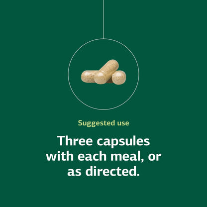 Congaplex Thymus Gland Support – 90 Capsules | Standard Process