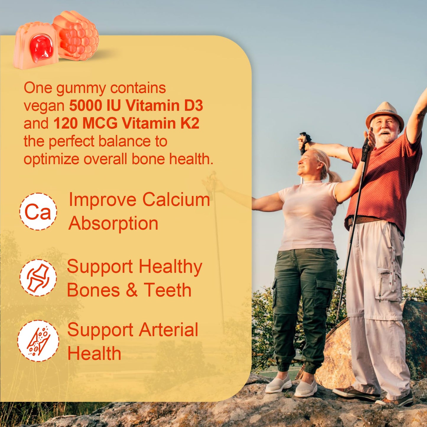 Vitamin D3 5000IU + K2 MK-7 Gummies – Sugar-Free, B Complex, Methyl B12 | 1 Pack