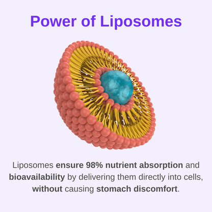 Vitaminally Women's Liposomal Multivitamin with Iron | 30-Day Liquid Drops | Gluten Free & Non-GMO