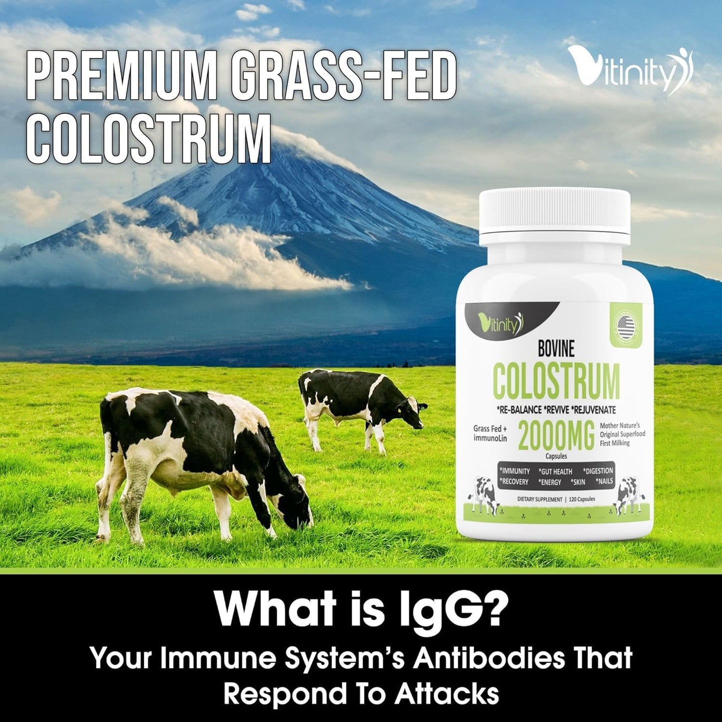 VITINITY Grass Fed Bovine Colostrum Capsules for Humans | Gut Health & Immunity | 120 Count