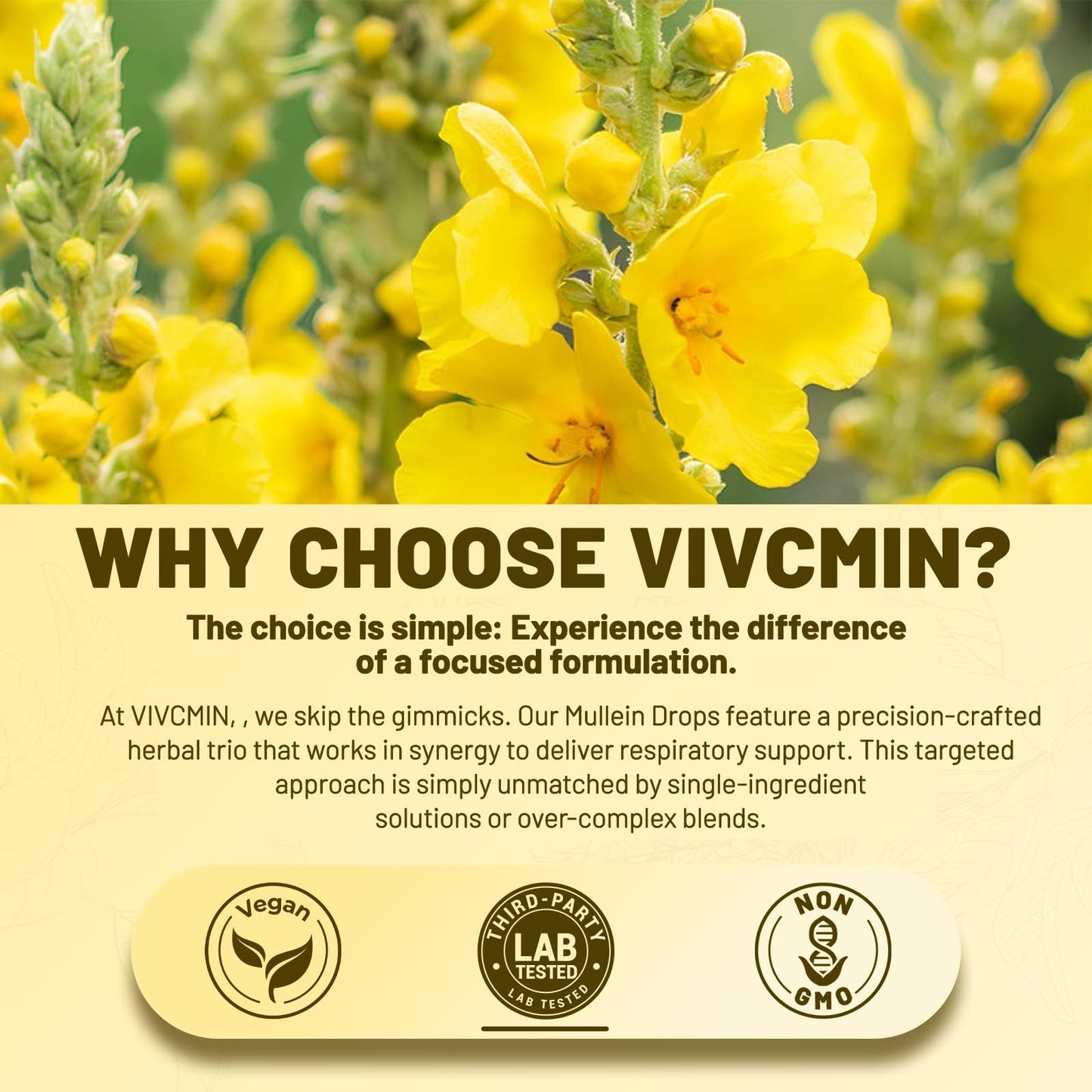 vivcmin Mullein Drops for Lungs with Licorice & Astragalus, Respiratory & Immune Support, Lung Detox for Smokers Tincture, Mullein Leaf Extract for Lung Cleanse, Sugar & Alcohol-Free, 4 fl oz