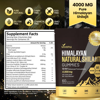 VivoNu Shilajit Gummies – 4000mg 10-in-1, Ashwagandha, Sugar-Free Vegan