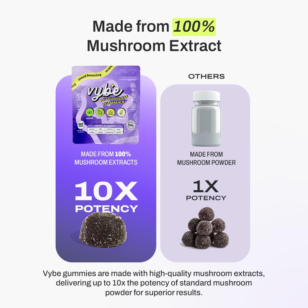 Vybe Daily Nootropic Gummies – 8-in-1 Brain Support (Blueberry)