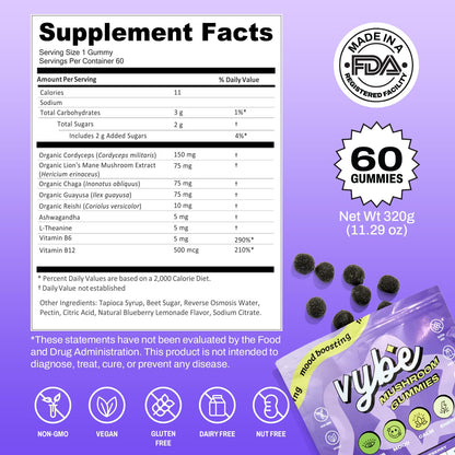 Vybe Daily Nootropic Gummies – 8-in-1 Brain Support (Blueberry)