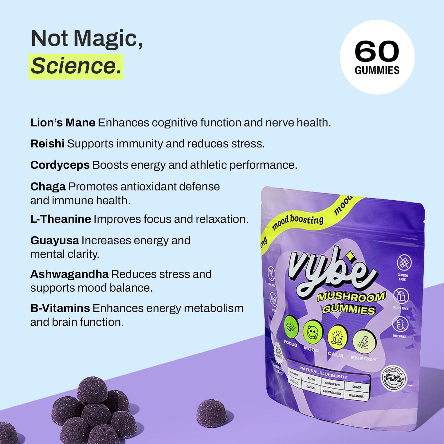 Vybe Daily Nootropic Gummies – 8-in-1 Brain Support (Blueberry)