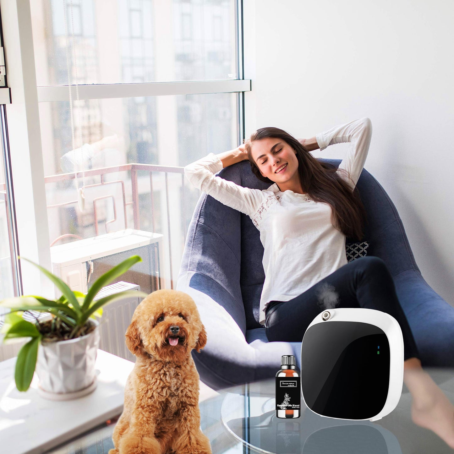 Wandering Breeze Essential Oil - W Hotel Inspired Diffuser Oil (30ml) | Sandalwood Cedarwood Musk