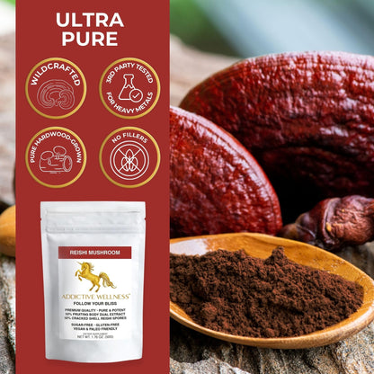 Reishi Mushroom Extract Powder + Spores (50/50) - Wood-Grown Ganoderma 50g