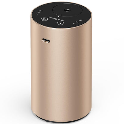 Waterless Essential Oil Diffuser - Desert Titanium, 3 Mist Levels & Rechargeable