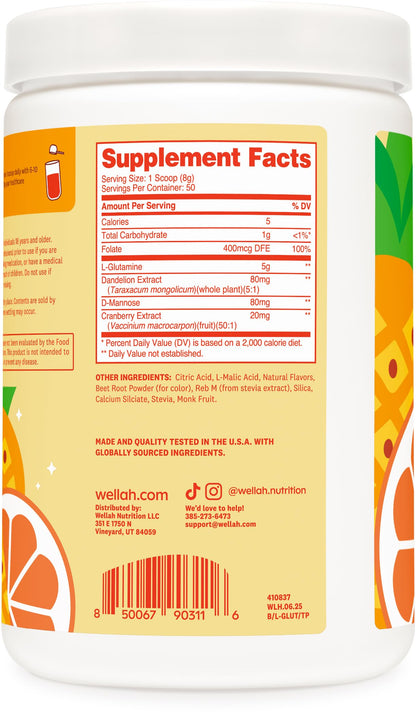 Wellah L-Glutamine Powder Tropical Punch – 50 Servings | 5g per Serving, Stevia